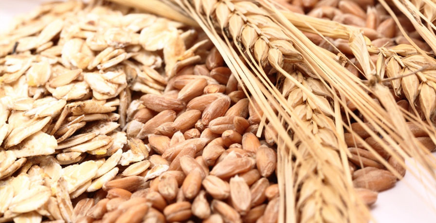 Types of Fiber Types of Fiber