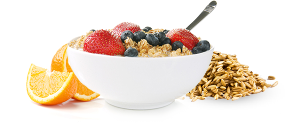 Fiber Meal Fiber Meal